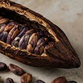 Organic Cacao