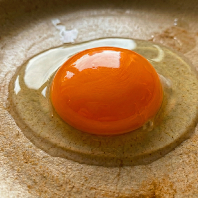 Egg Yolk